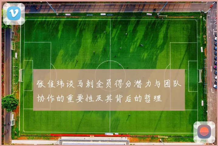 张佳玮谈马刺全员得分潜力与团队协作的重要性及其背后的哲理