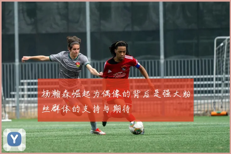杨瀚森崛起为偶像的背后是强大粉丝群体的支持与期待