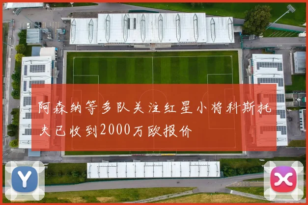 阿森纳等多队关注红星小将科斯托夫已收到2000万欧报价