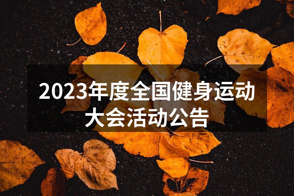 2023年度健身运动大会宣传海报