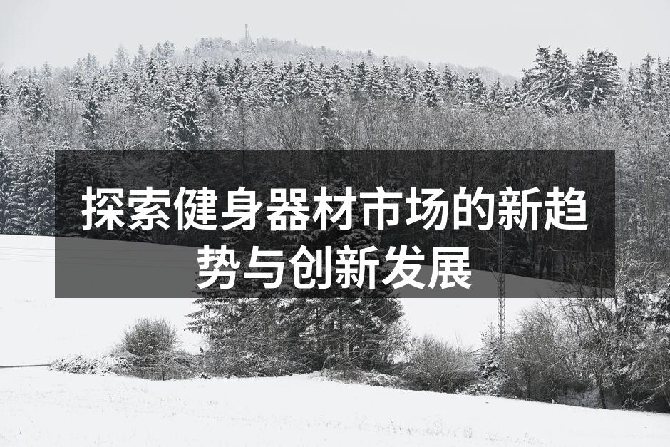 健身器材市场分析